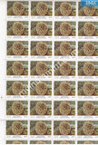 India 2001 MNH Corals of India Set of 4v (Full Sheet) - buy online Indian stamps philately - myindiamint.com