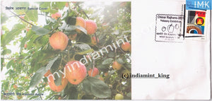 India 2011 Special Cover Chinar Rajhans Kasmir Apple #SP6 - buy online Indian stamps philately - myindiamint.com