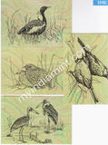 India 2006 Endanger Birds Set of 4 Max Cards all Cancelled #M1
