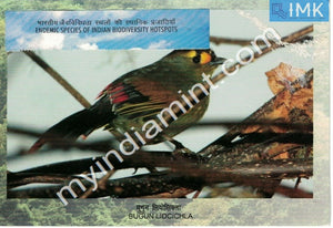 India 2012 Endemic Species Post Card on Bugun Liochcila Bird #M4