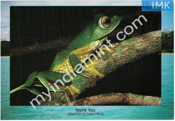 India 2012 Endemic Species Post Card on Frog #M4