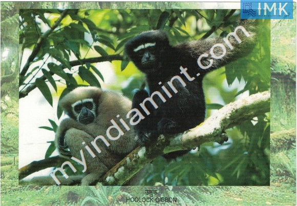 India 2012 Endemic Species Post Card on Hoolock Gibbon Langoor #M4
