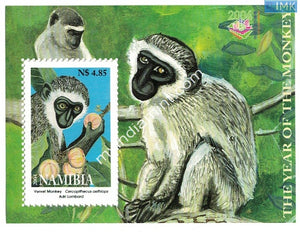 Namibia 2004 Vervet Monkey Ms