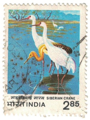 India 1983 Siberian Crane Used